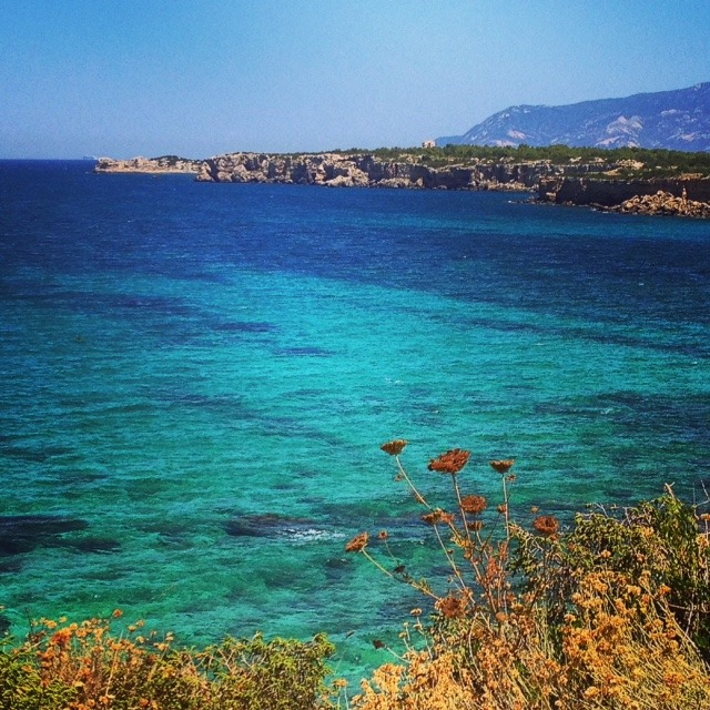 Avvocato Corinna Fabbri | Isola di Pianosa